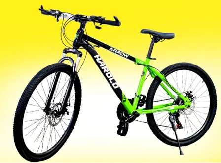Bicicleta Mtb Rodado 26 Verde