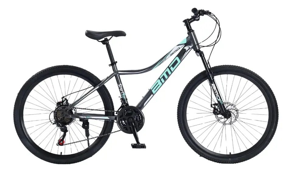 Bicicleta Mtb Rodado 26 Gris y Verde - DAMA