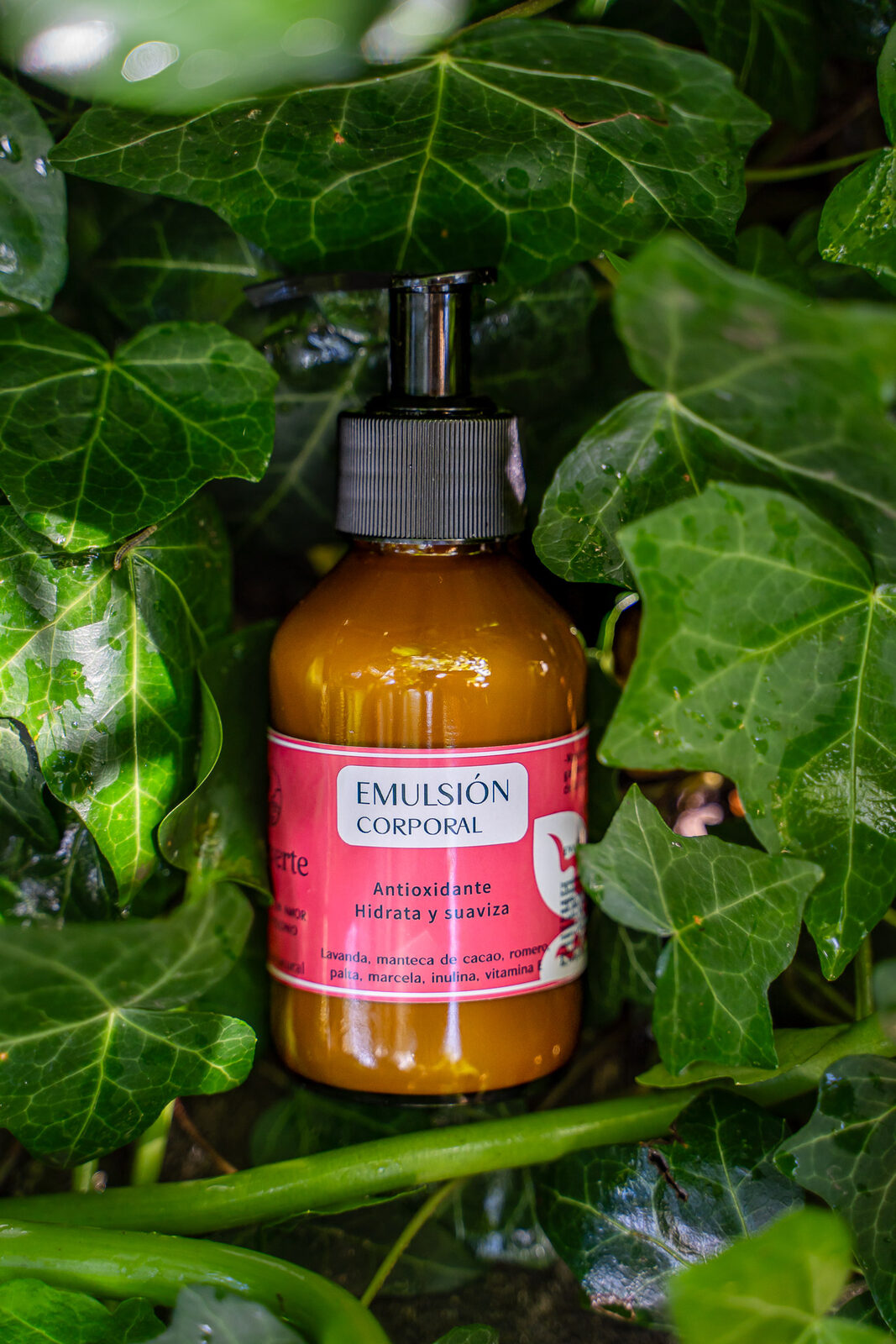 Emulsión corporal hidratante: hidrata y suaviza