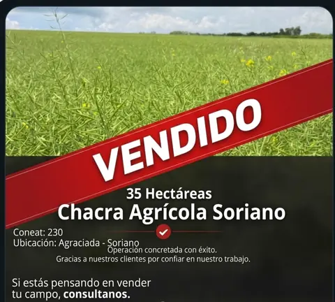 Campo en venta