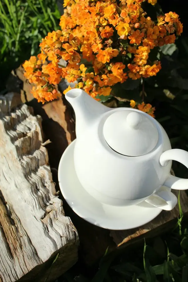 JUEGO DE TE TEA FOR ONE BLANCO