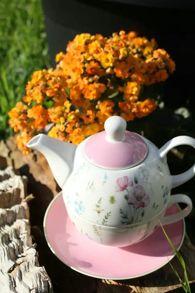 JUEGO DE TE TEA FOR ONE ROSA