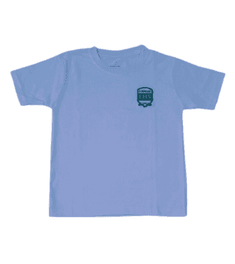 REMERA DE ALGODON MANGA CORTA