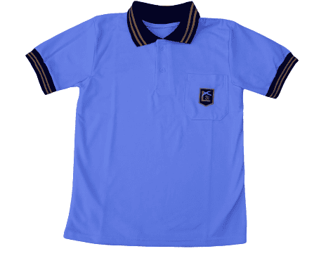 REMERA POLO MANGA CORTA