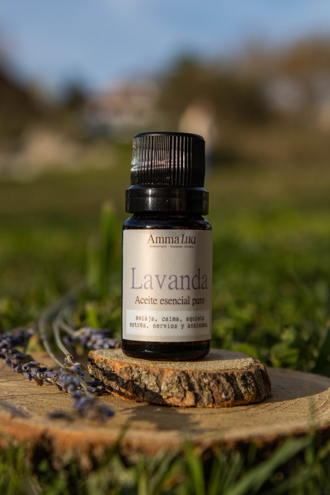 Aceite Esencial Lavanda