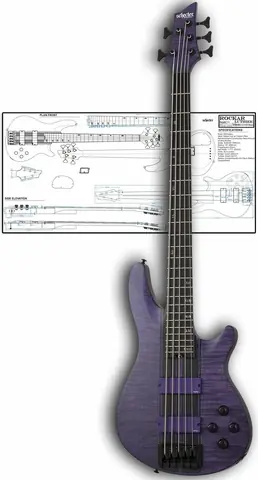 Style Schecter C-5 GT Bass