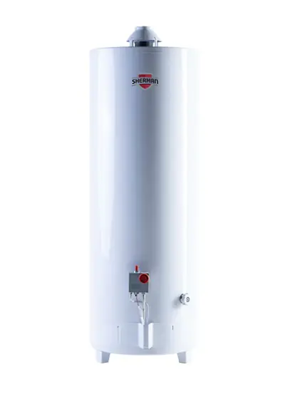 Termotanque A Gas Sherman De Pie 120 Litros