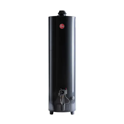 Termotanque RHEEM a Gas Natural 160L Pie Negro - APG160NRH07