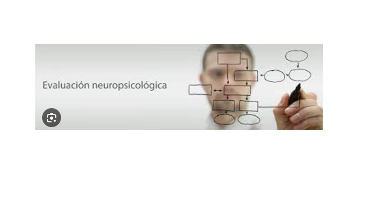MASTER CLASS: INTRODUCCION A LA EVALUACION NEUROPSICOLOGICA EN NIÑOS Y ADULTOS