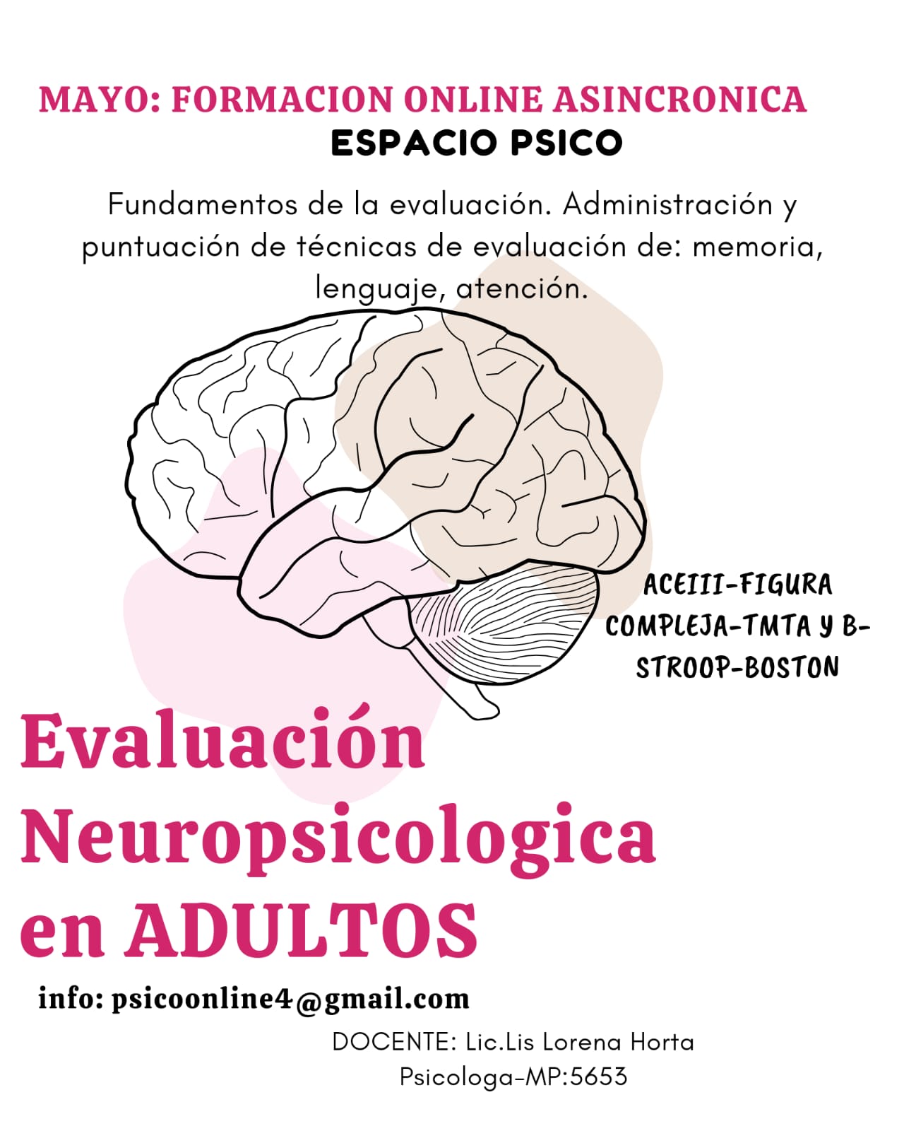 ACTUAIZACION EVALUACION NEUROPSICOLOGICA EN ADULTOS