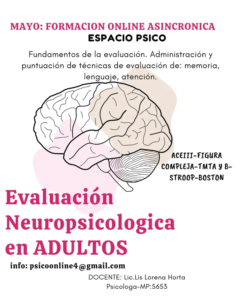 ACTUAIZACION EVALUACION NEUROPSICOLOGICA EN ADULTOS