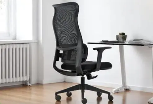 Sillon sigma