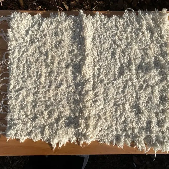 Alfombra 50 x 60 cm