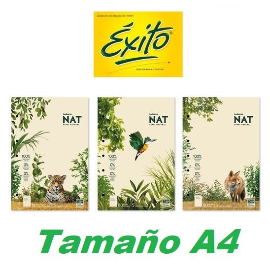 Block Pegado Ledesma "NATURAL" A4 80 Hojas de 75 gr (Exito) Rayado / Cuadriculado / Liso