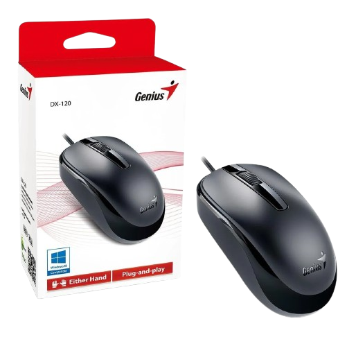 MOUSE ÓPTICO USB GENIUS DX-120 - 800 DPI