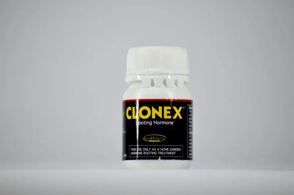 Hormona De Enraizamiento 30ml Clonex