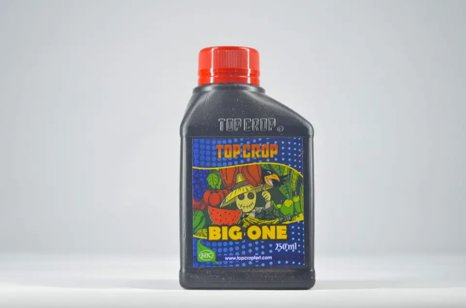 Big One 250ml Top crop