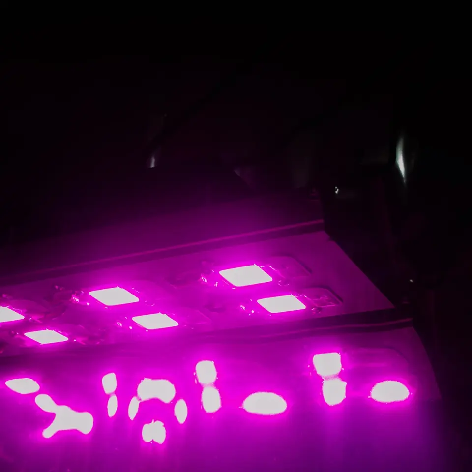 Panel FullSpectrum 100w
