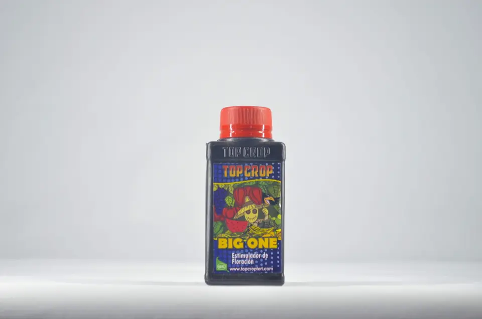 Big One 100ml Top crop