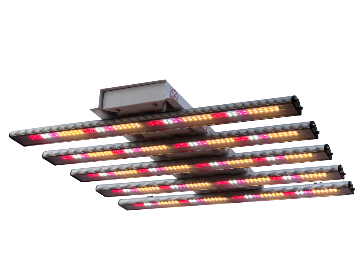 SunFlash 225E Mars Leds