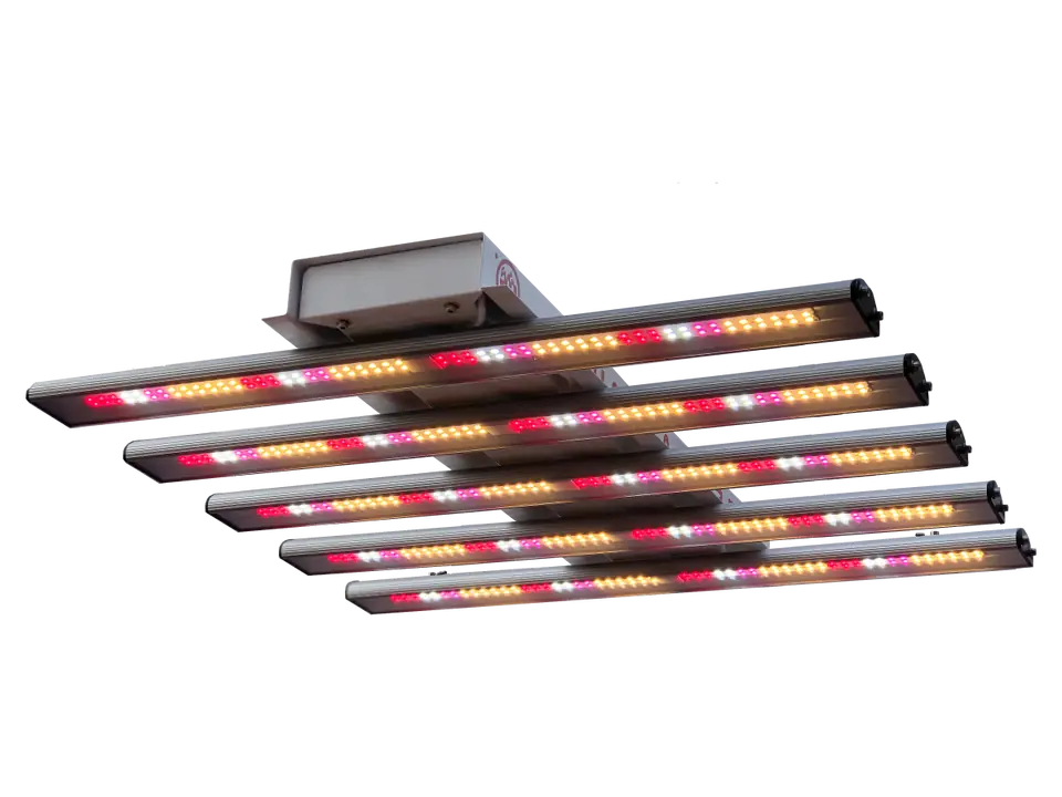 SunFlash 225E Mars Leds