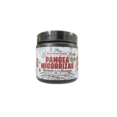 Micorrizas Queens Of The Grounds 250gr Pangea