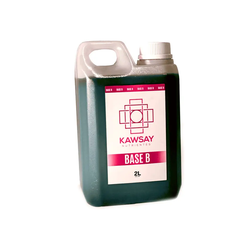 Base B 2ltr Kawsay