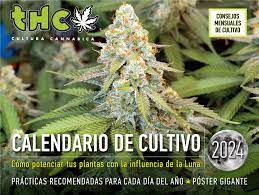 Calendario Lunar 2024 THC