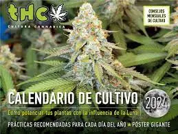 Calendario Lunar 2024 THC