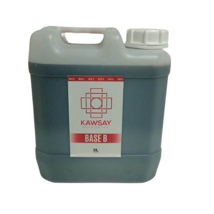 Base B 5ltr Kawsay
