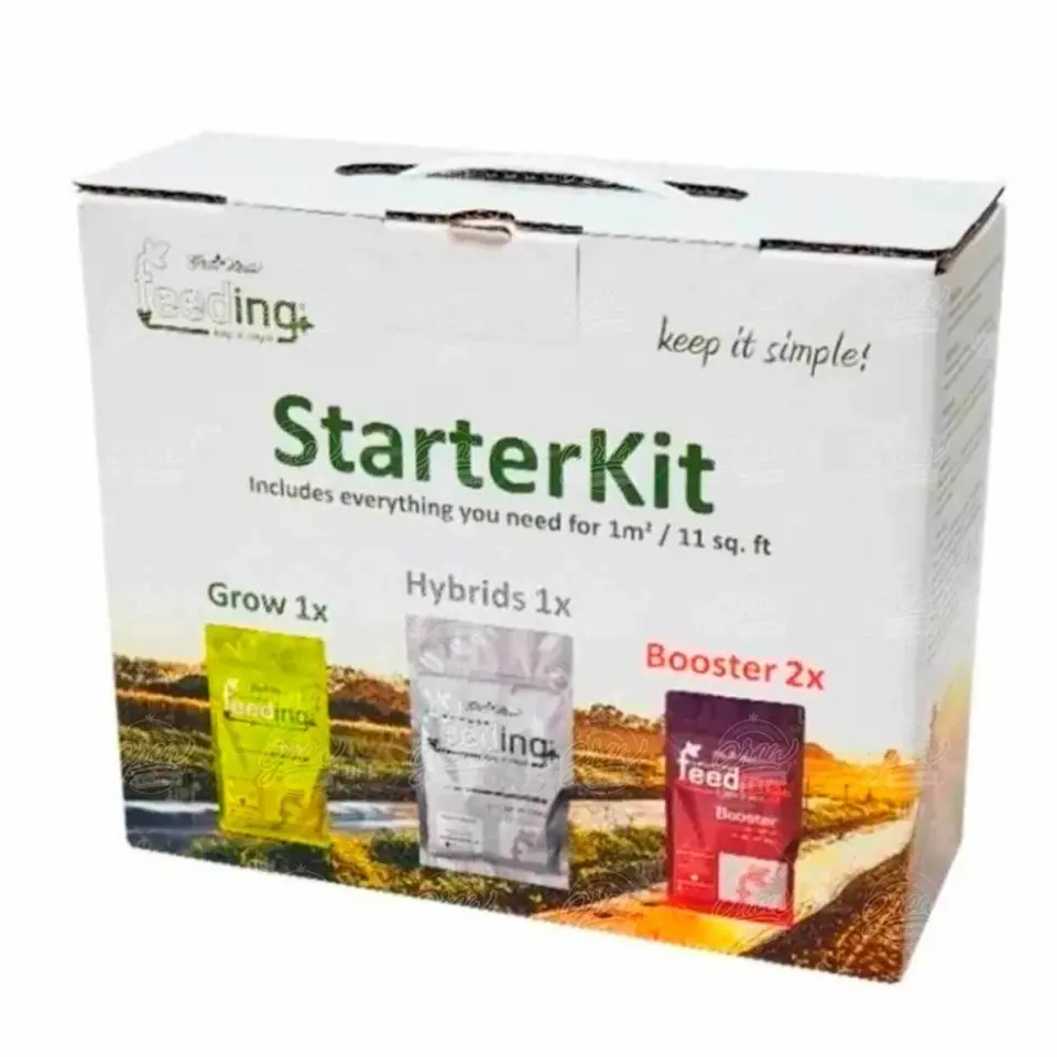 Mineral Starter Kit