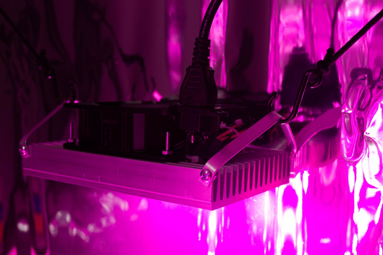 Panel FullSpectrum 200w