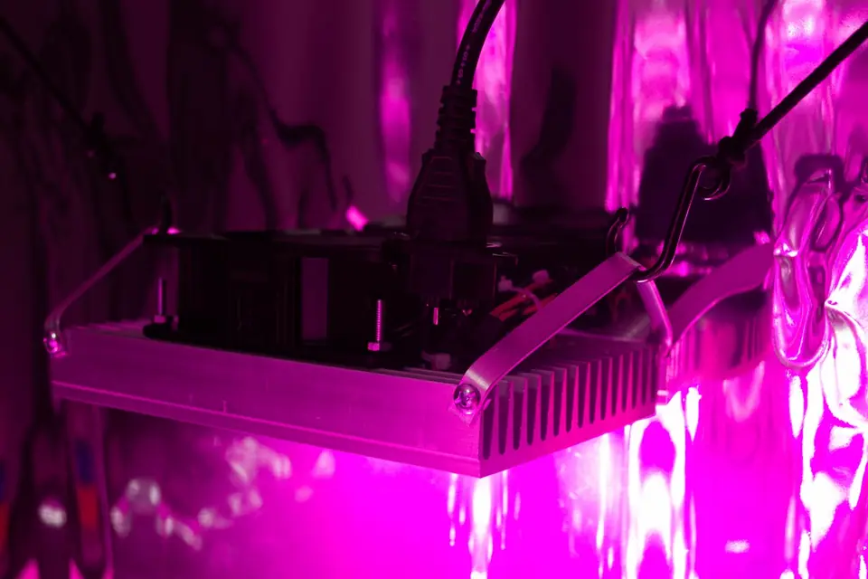 Panel FullSpectrum 200w