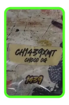 Choco Og x3 Foto 1439 Criadores