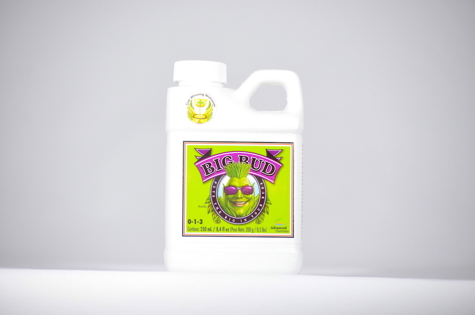 Big Bud 250ml Advanced