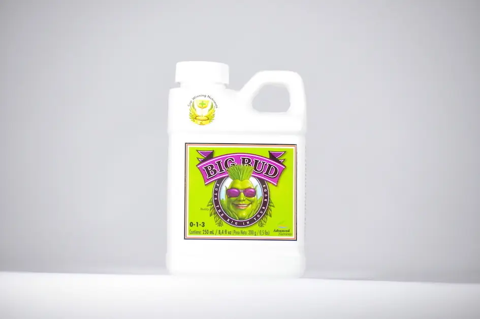 Big Bud 250ml Advanced