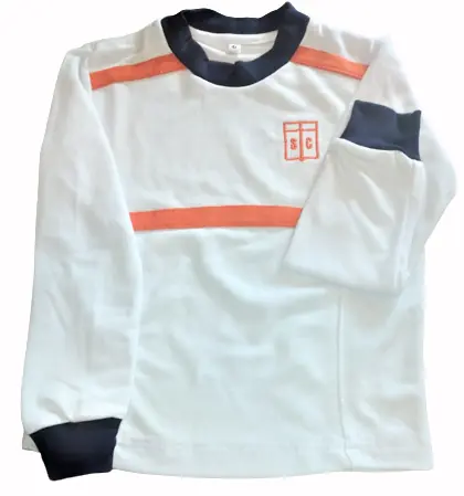 REMERA DE GIMNASIA MANGAS LARGAS VARON