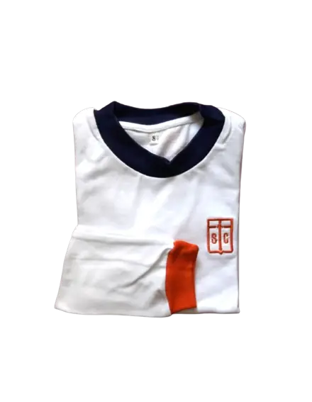 REMERA DE GIMNASIA MANGAS LARGAS VARON NIVEL INICIAL