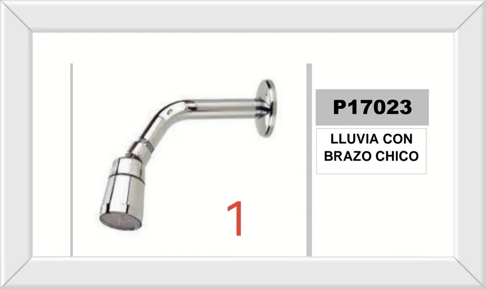 DUCHA LLUVIA CON BRAZO CHICO (U200)