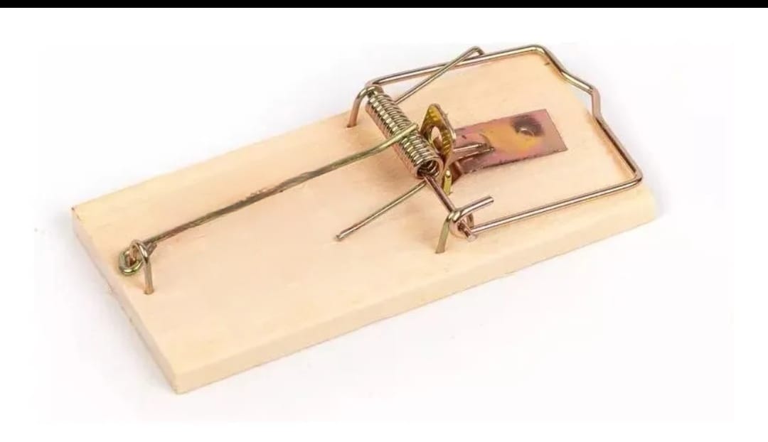 TRAMPERA MADERA GRANDE RATA(U55)