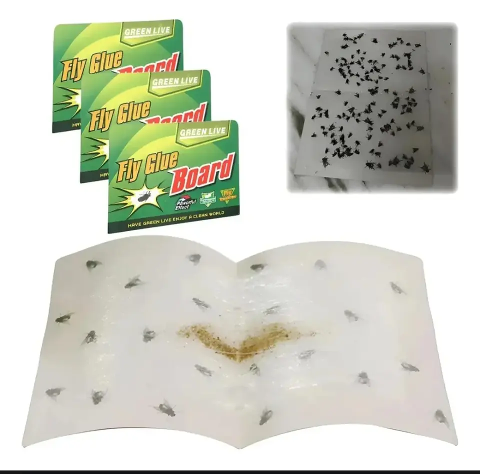 PEGAMENTO MOSCA MOSQUITOS X BULTO NETO