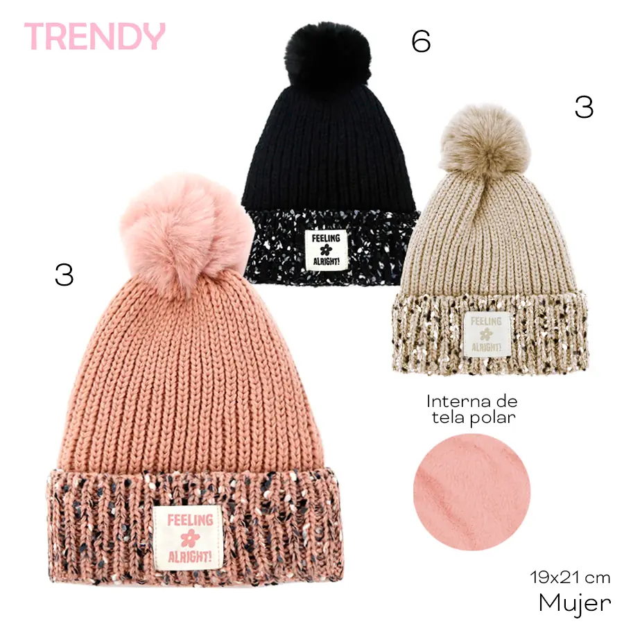 13667-	Gorro Trendy T2  interna de tela polar textil