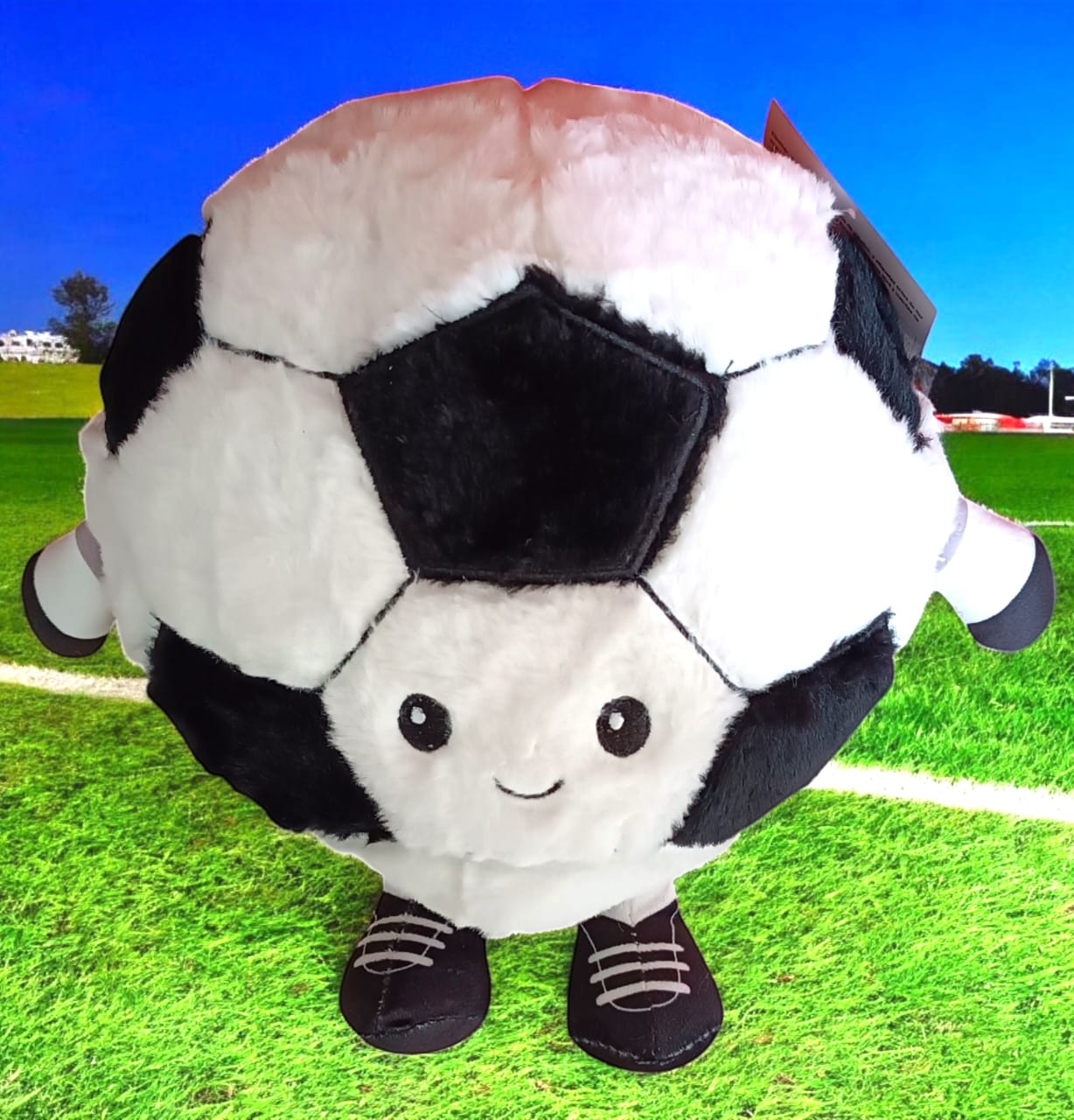615458C- PELOTA FUTBOL PELUCHE 10"=25CM +INFO+FOTOS
