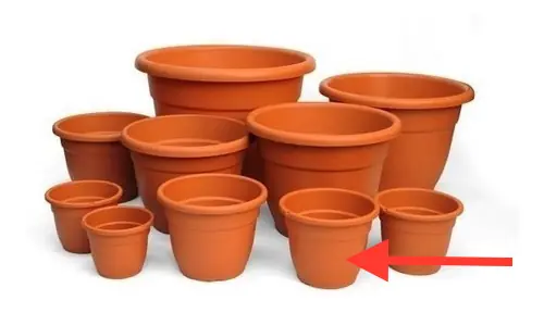Maceta Edem #22